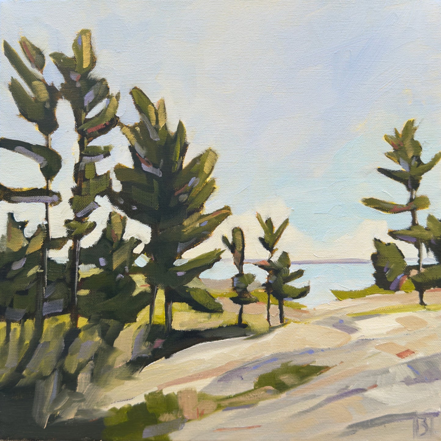 Our Summer Path by Barbara Simmons