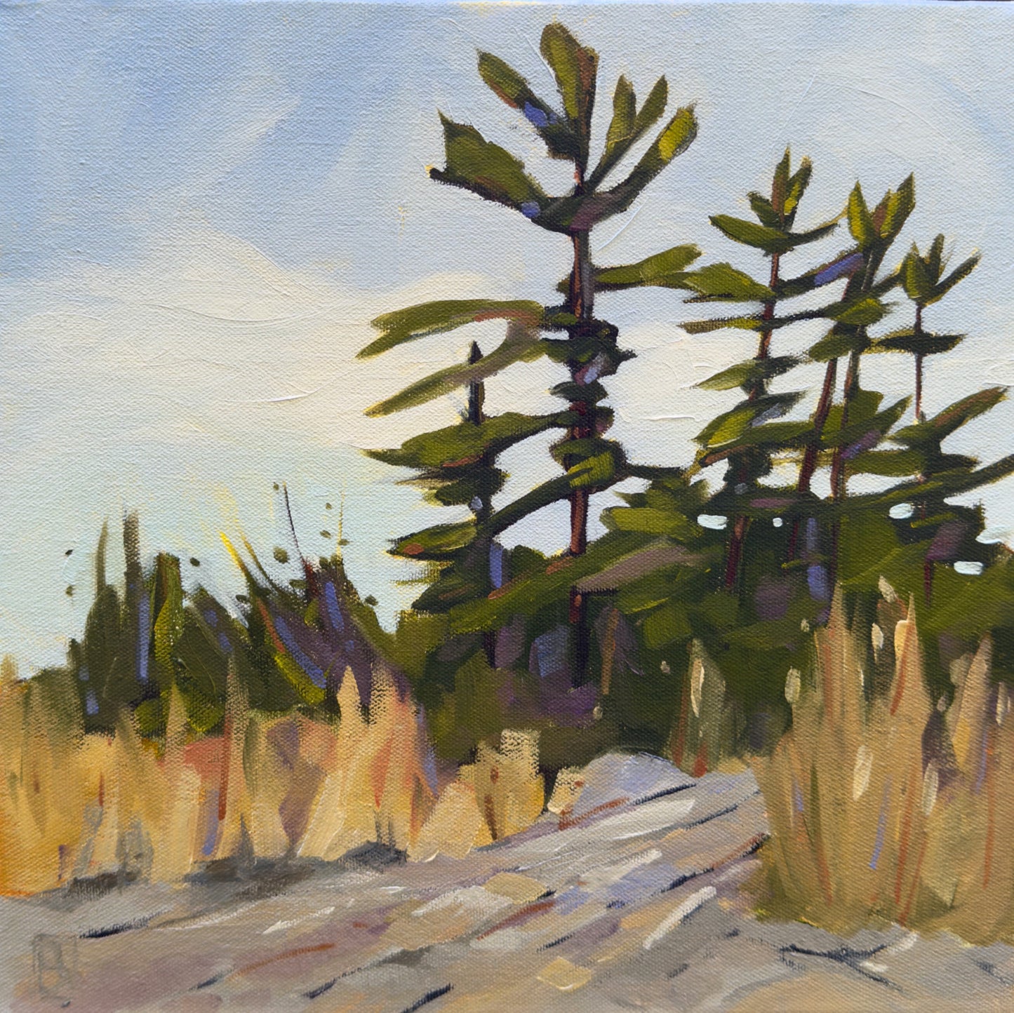 White Pines by Barbara Simmons