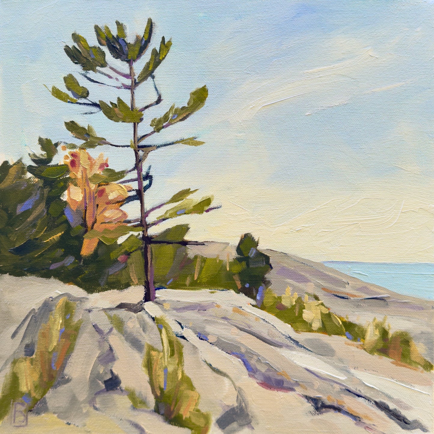 Resilience by Barbara Simmons