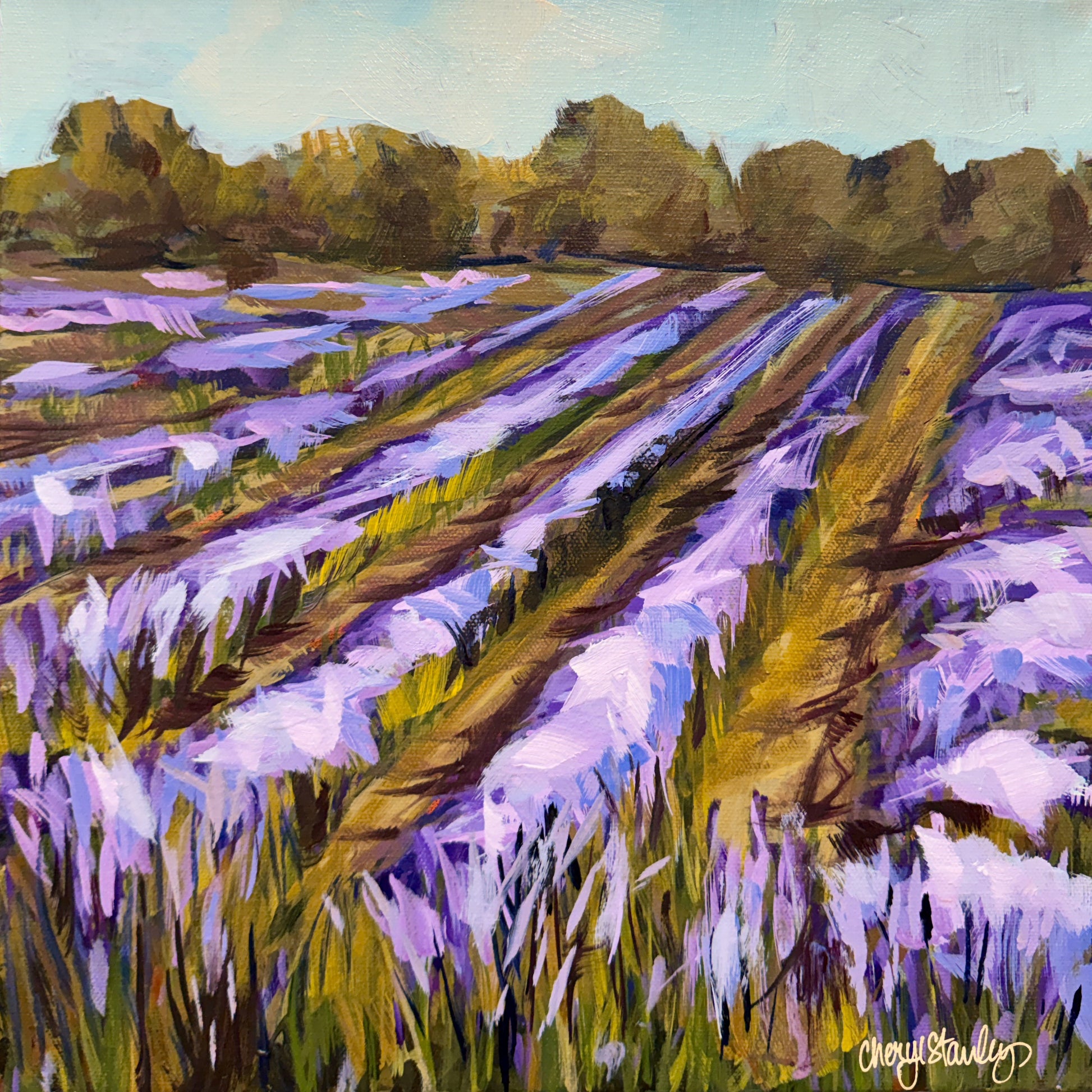 Cheryl Stanley - Breeze - Acrylic on 1.5" Gallery Wrapped Canvas
