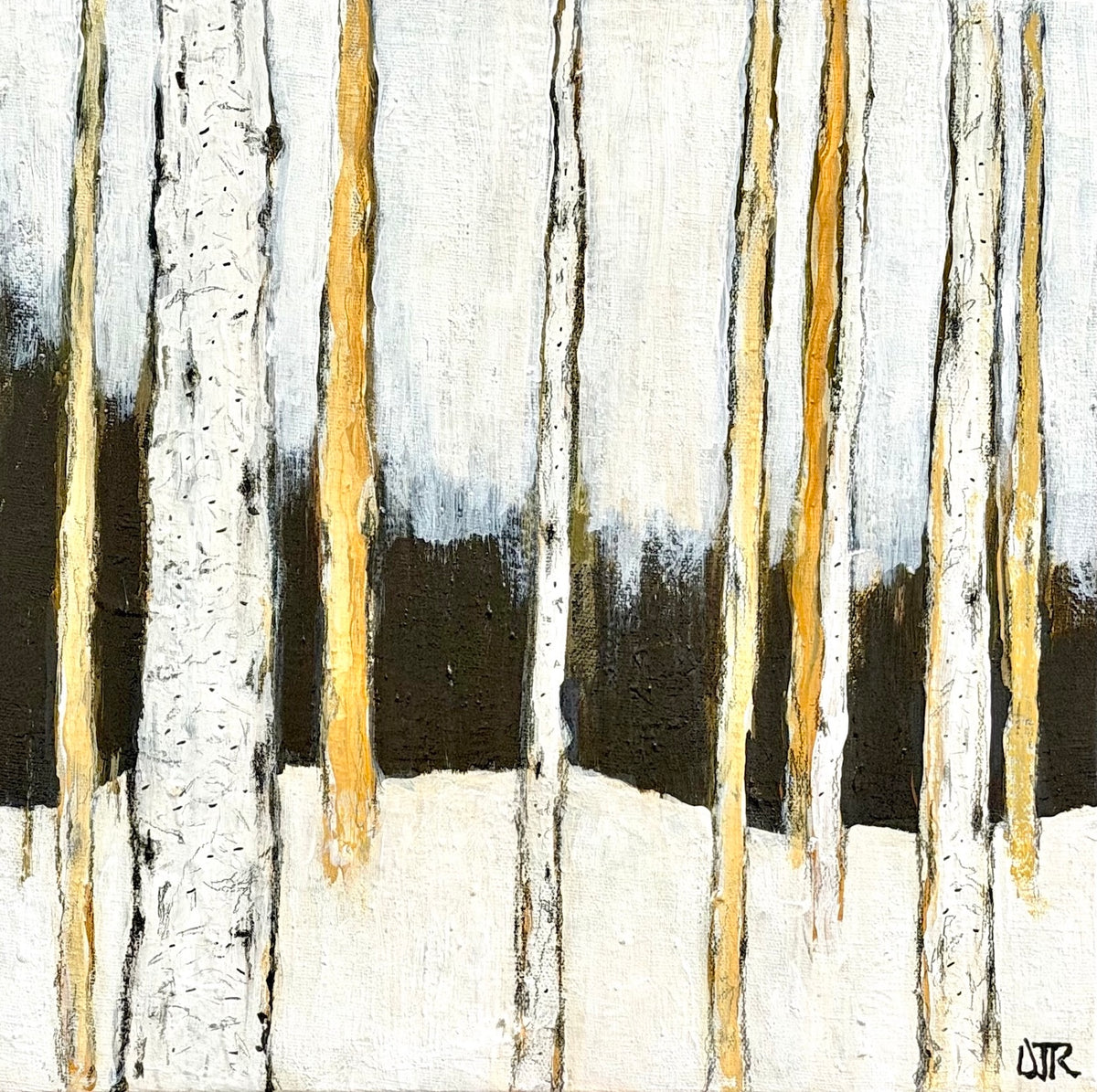 Birch in Winters Northern Lights by Douglas Robinson