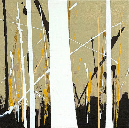 Fall in the Birches 1 by Douglas Robinson
