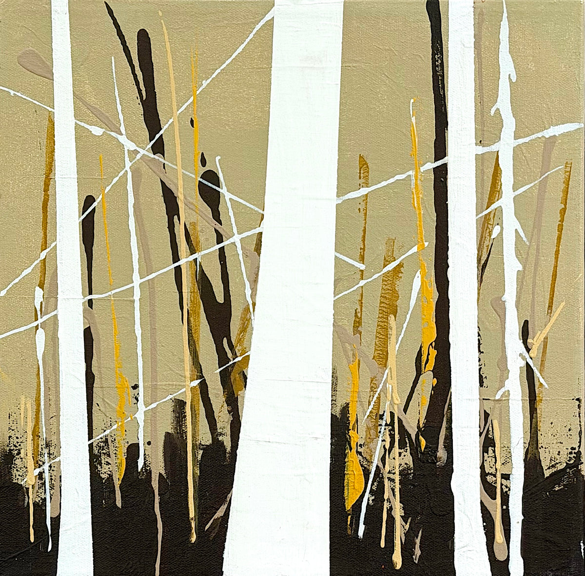 Fall in the Birches 3 by Douglas Robinson