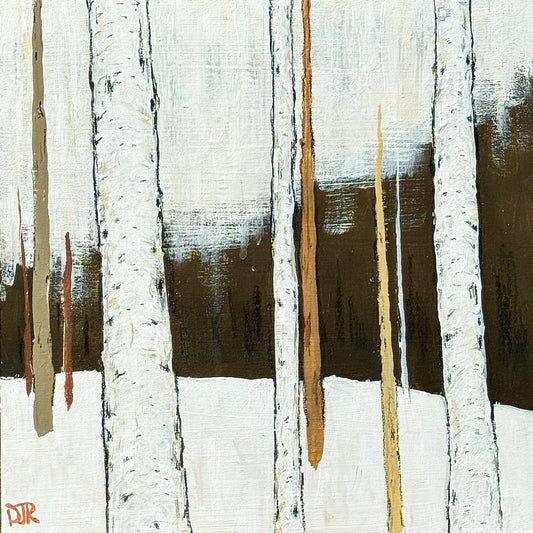 Winter Birch Stillness A by Douglas Robinson