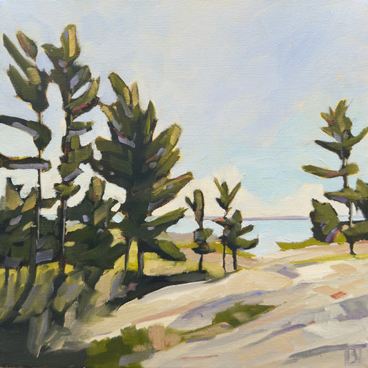 Our Summer Path by Barbara Simmons