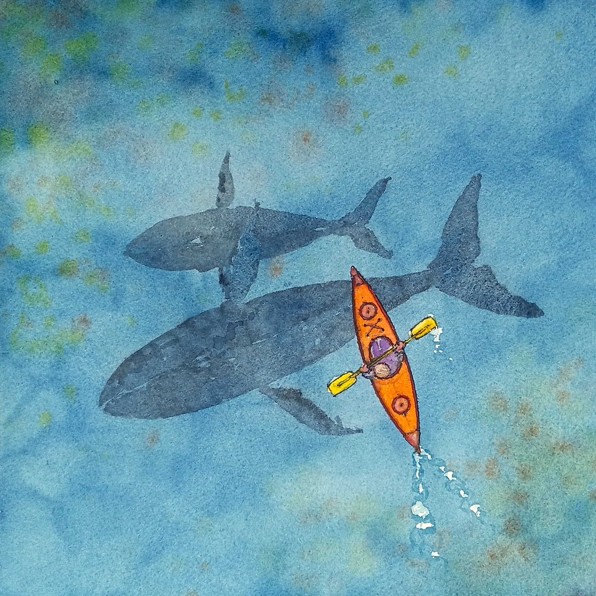 Kayak One by Peter Gamble