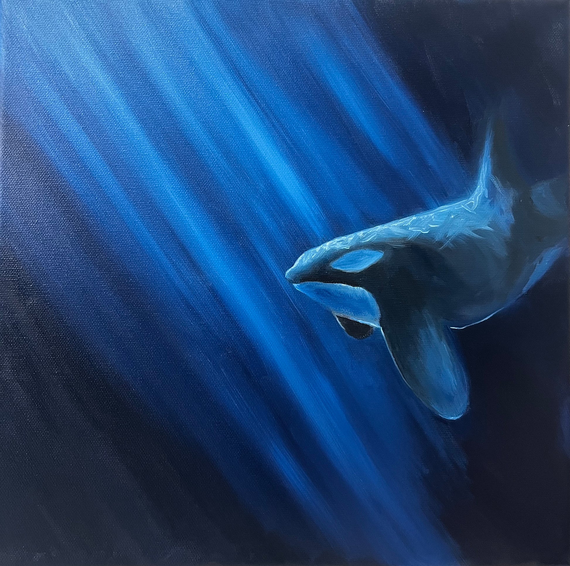 Solo Swim by Cynthia Martin