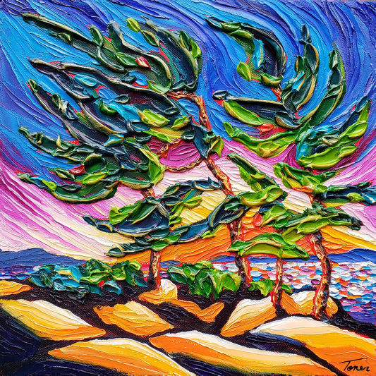 Sunset Glow by Ashley Toner