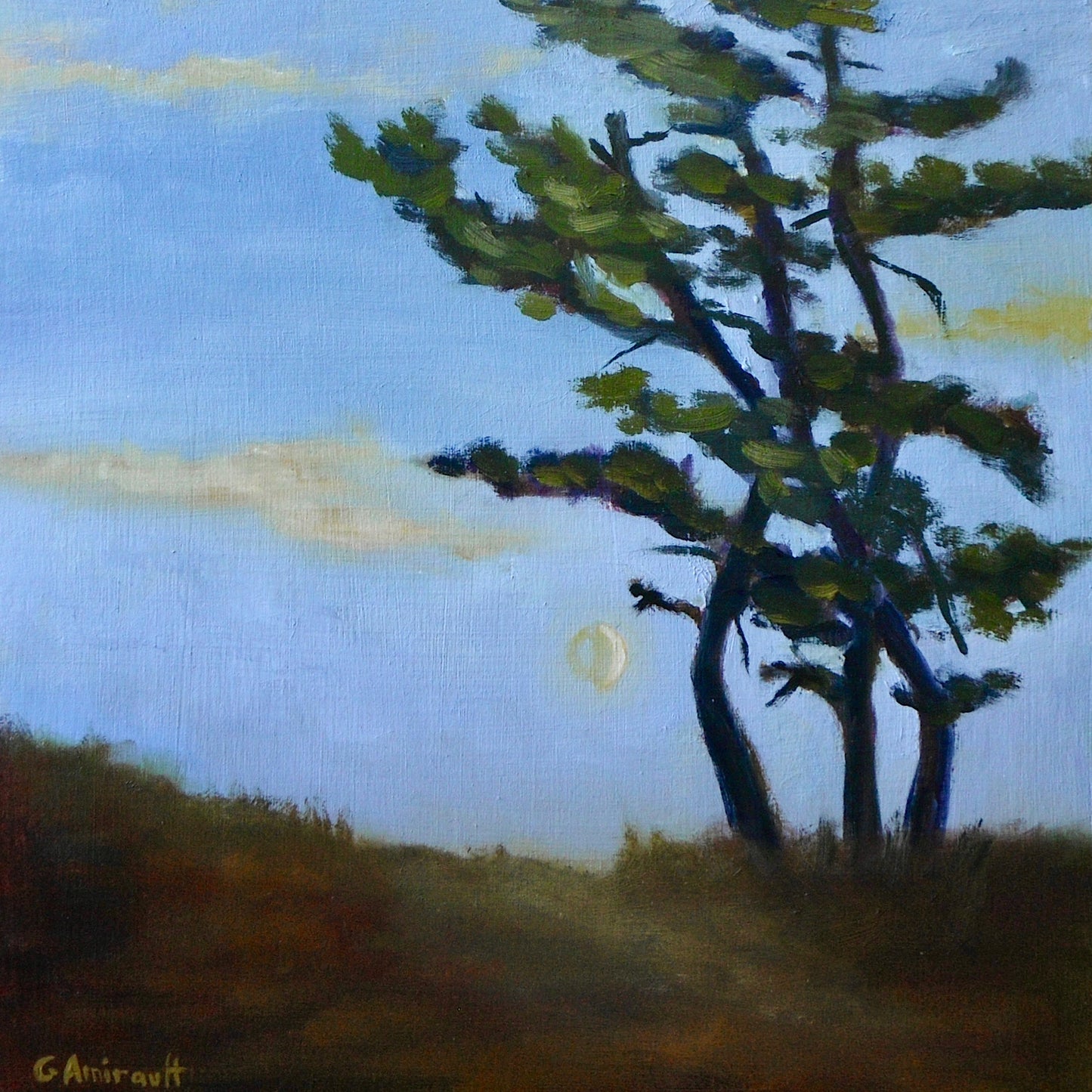 Big Pine by Gretchen Amirault