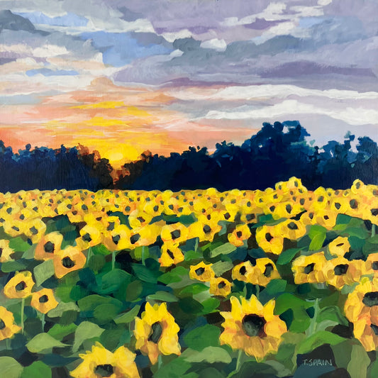 I'll Follow the Sun by Tracy Spain