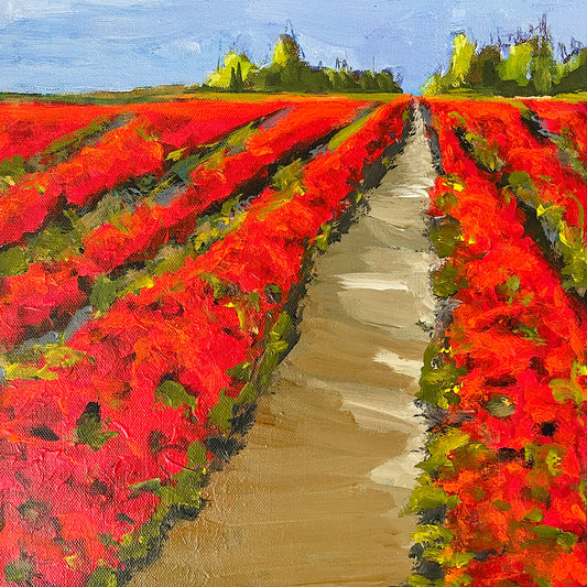 Fragrant Blooms by Brenda McCafferty
