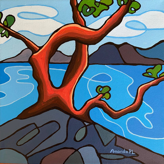 On the cliffs by Amanda PL