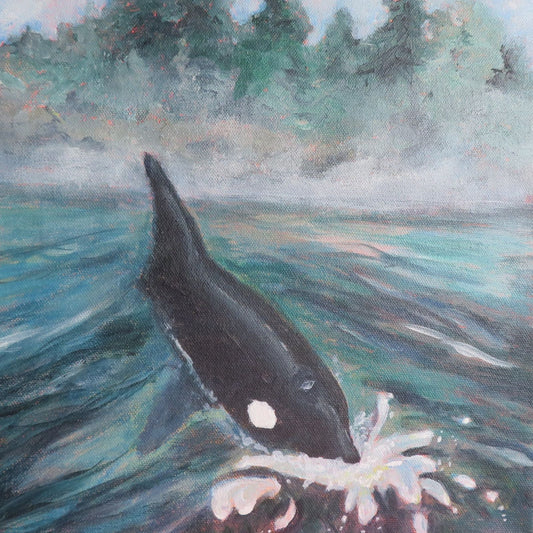 Orca by Robin Taylor