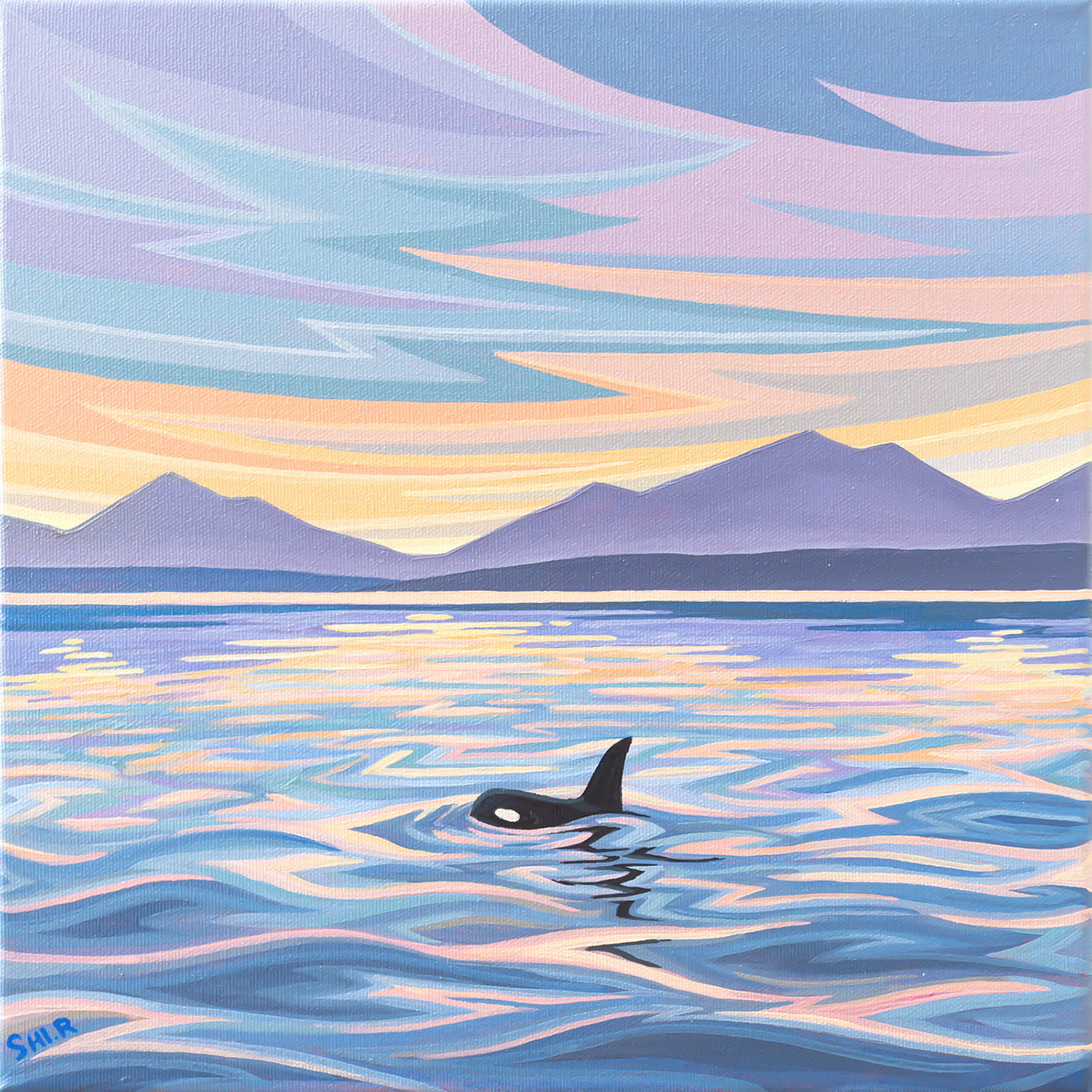 Orca in Vancouver by Ruolin Shi