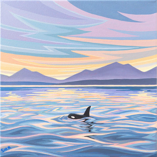 Orca in Vancouver by Ruolin Shi