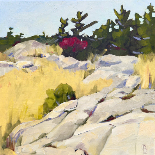 October Sumac by Barbara Simmons