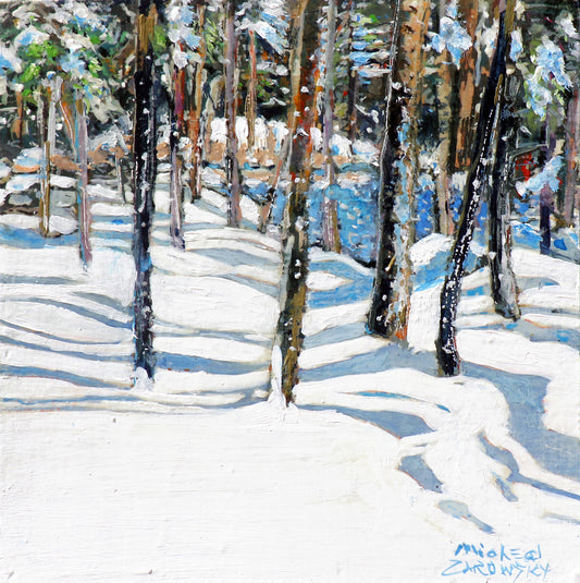 daylight with sparkles n  shadows running alongside the winter pond by Micheal Zarowsky