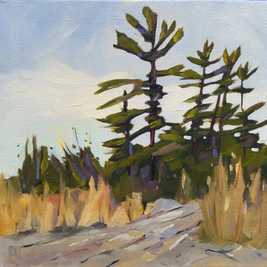 White Pines by Barbara Simmons