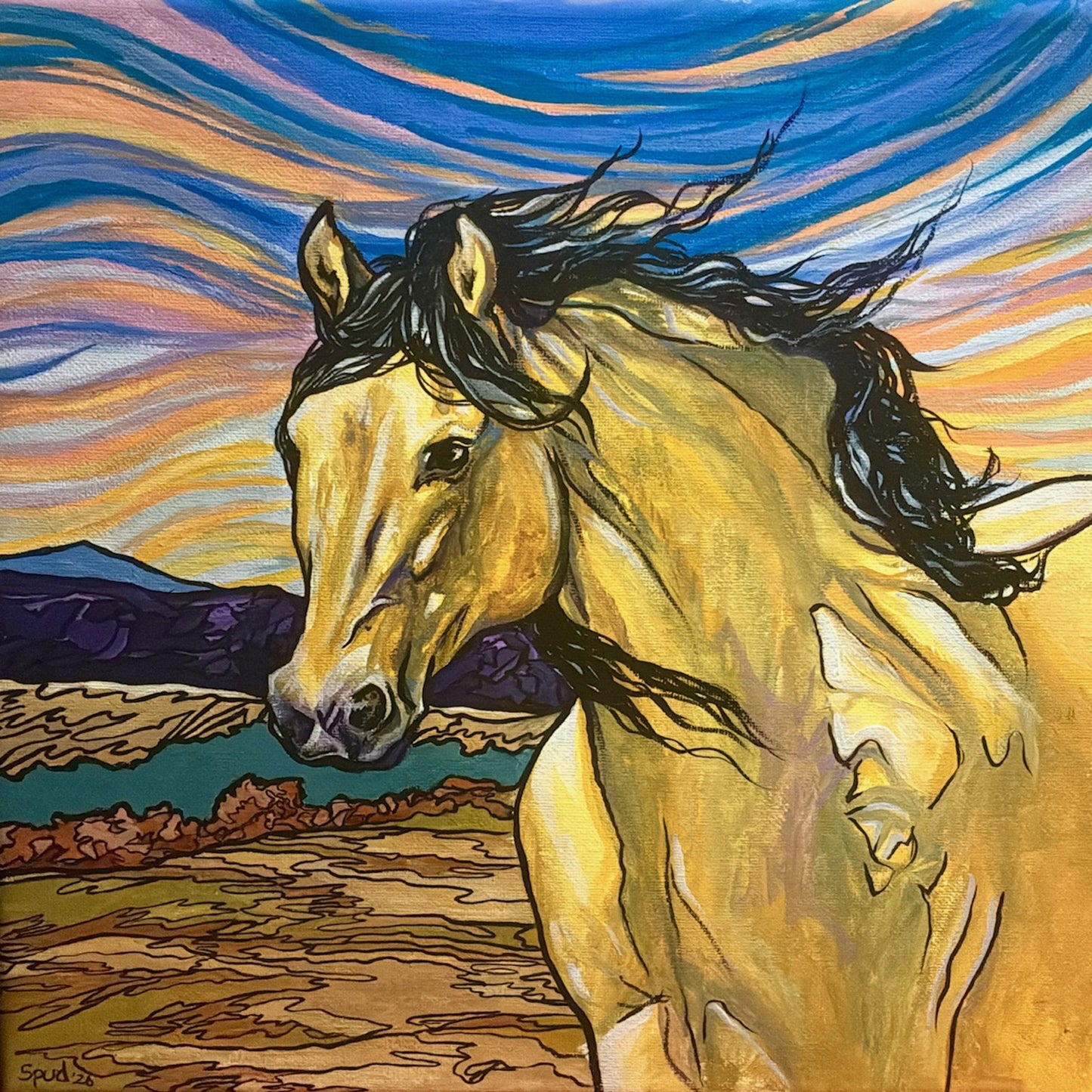 Buckskin Sunrise by Alyssa Cumpton