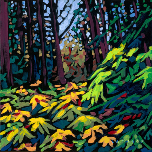 Devil’s Club from the Boardwalk Near Revelstoke by Mike Lathrop