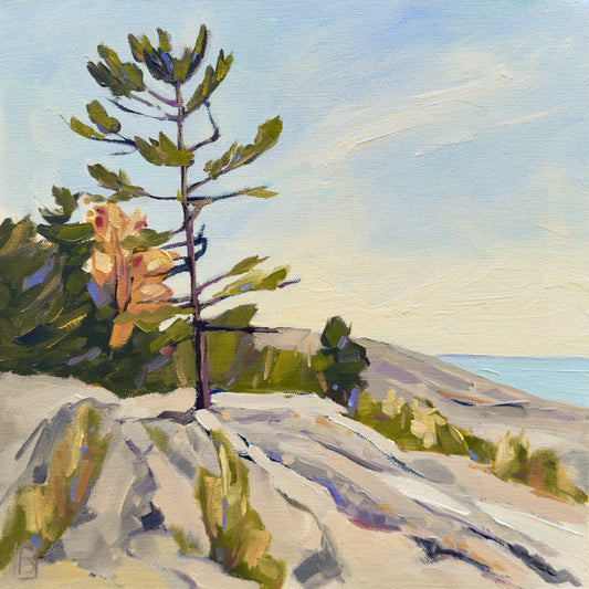 Resilience by Barbara Simmons