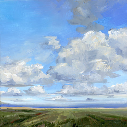 Summer Sky by Nicole Walsh