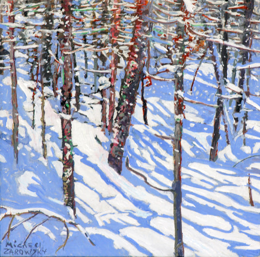 flurries n sunshine by Micheal Zarowsky