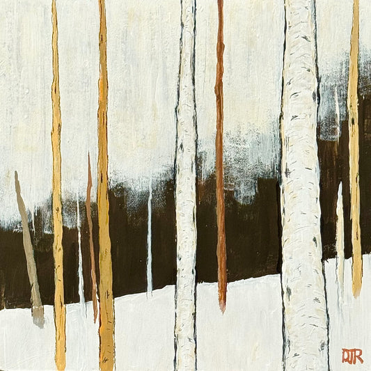 Winter Birch Stillness C by Douglas Robinson