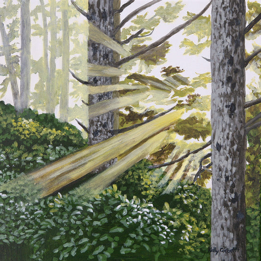 Sunbeams by Kelly Corbett