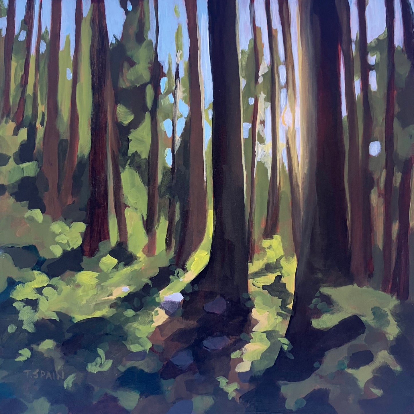 Amongst the Trees by Tracy Spain