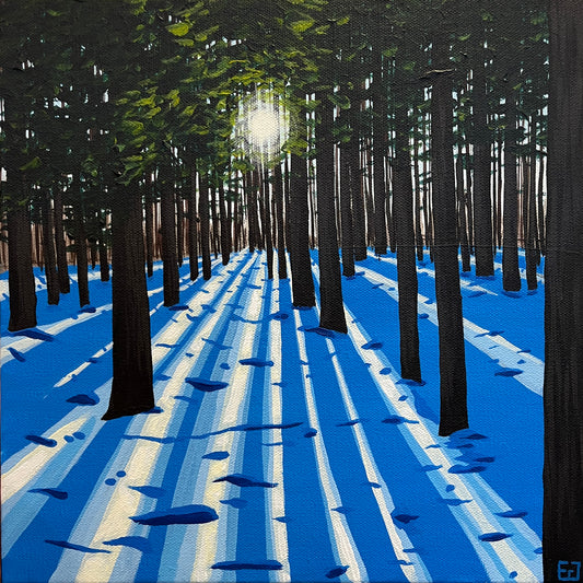 Sun Trails by Emily Graetz