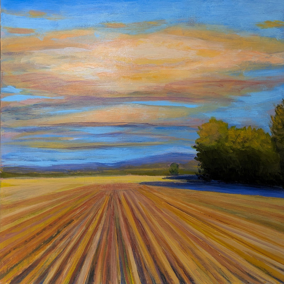 Harvest by Fulya Bulur