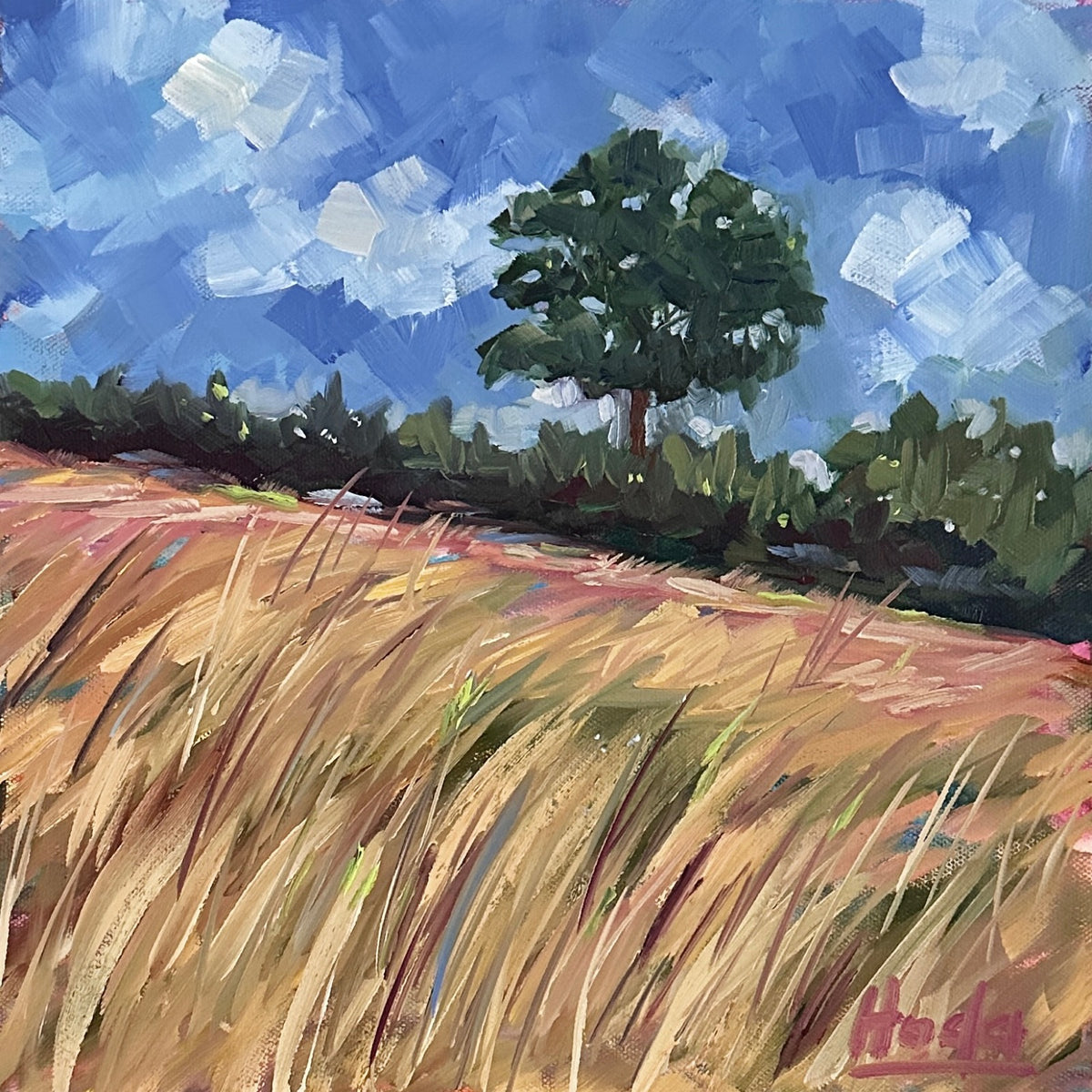 Open Sky by Hoda Nicholas