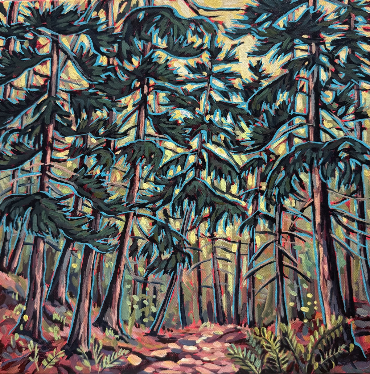Forest Light by Jenny Kastner
