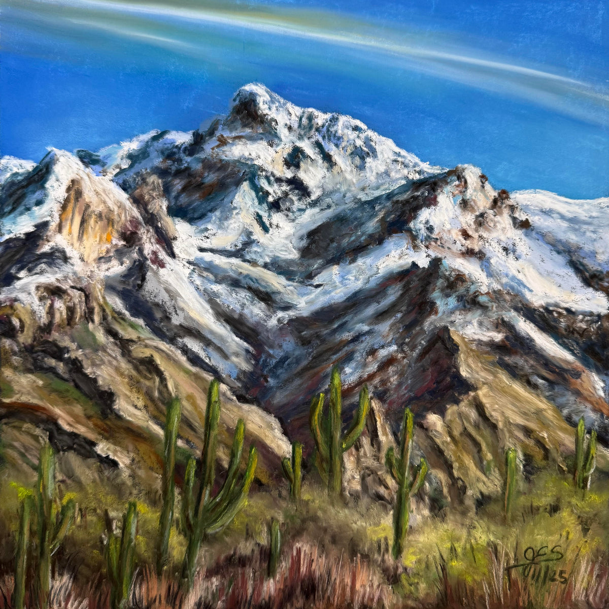 Tucson Winter Sentinels by Jim Slavik