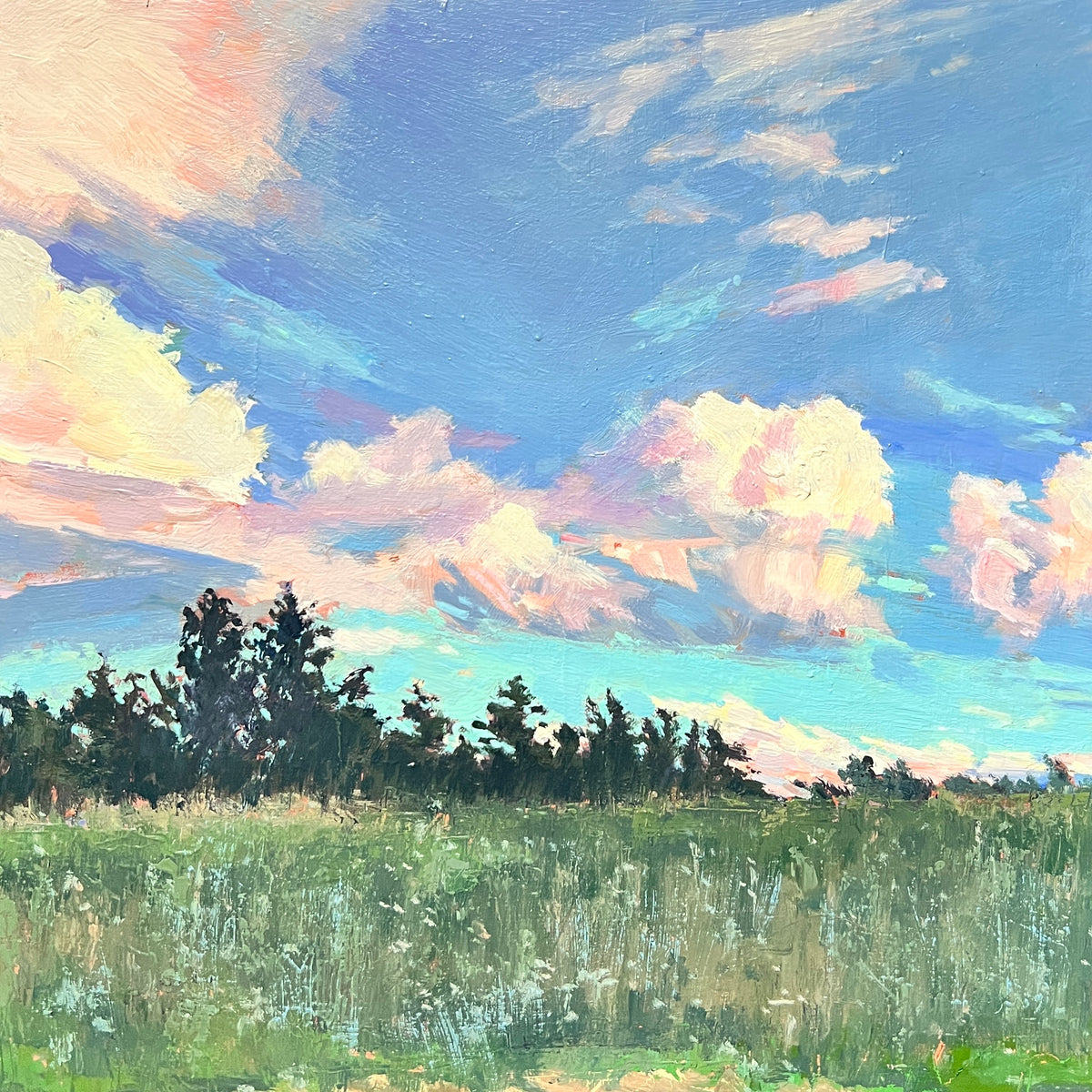 Skylarking at Amy's by Tammy Smallacombe