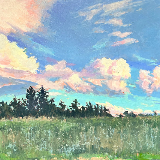 Skylarking at Amy's by Tammy Smallacombe